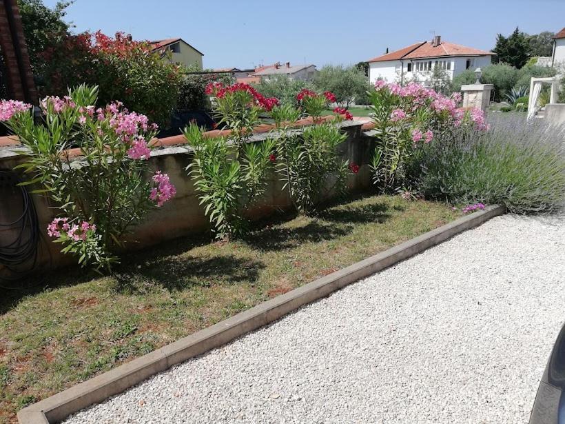Apartments Oleander Lovrecica-Residence With Pool Екстериор снимка