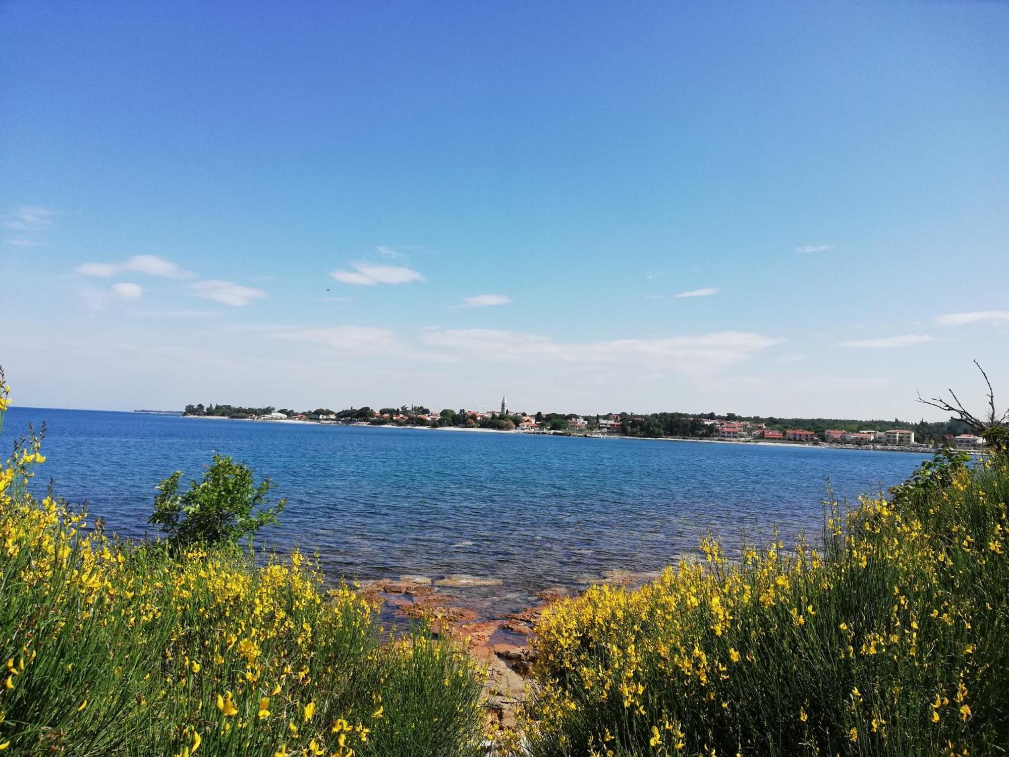 Apartments Oleander Lovrecica-Residence With Pool Екстериор снимка